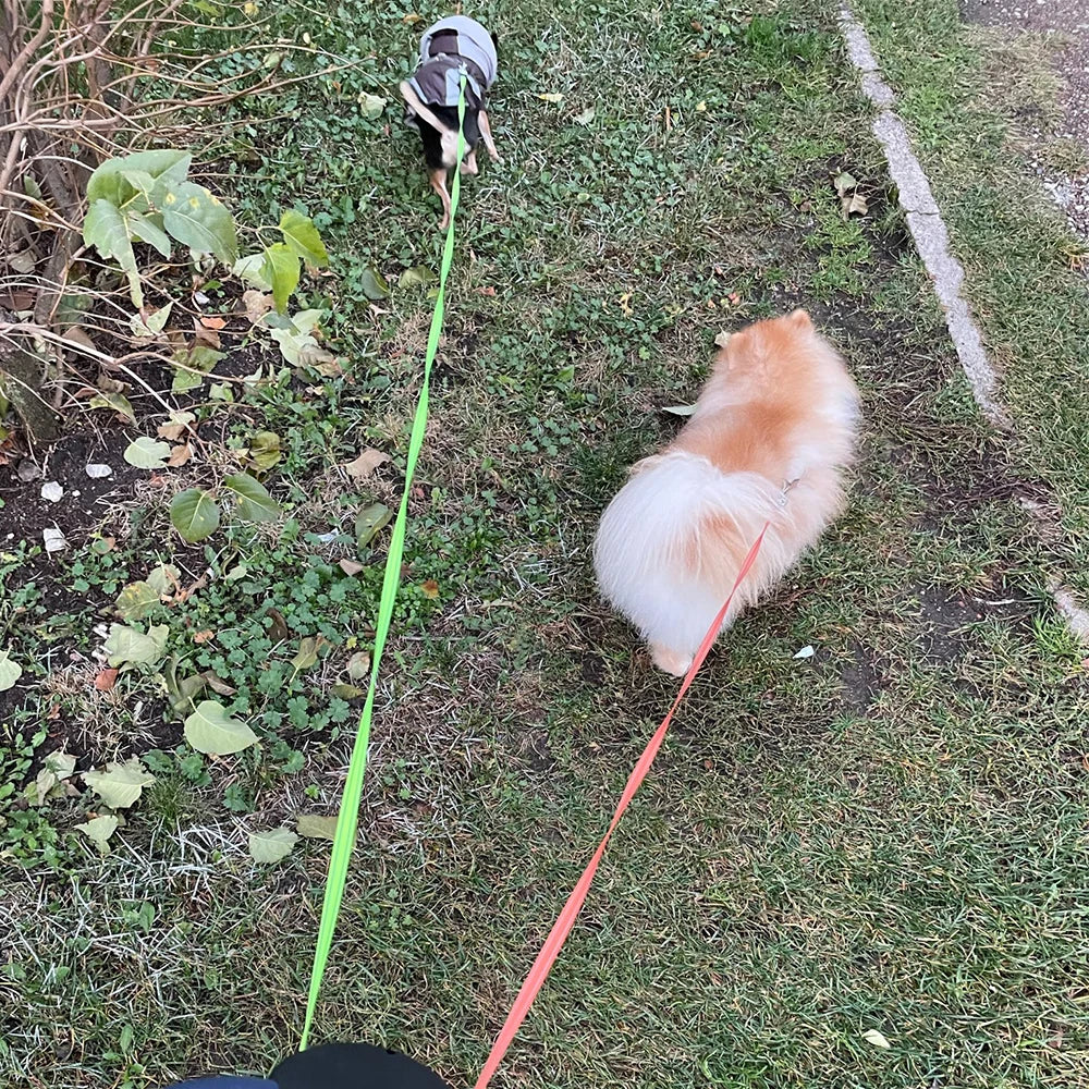 "3M Retractable Dual Dog Leash – No-Tangle, Heavy-Duty with LED Light & Waste Bag Holder"