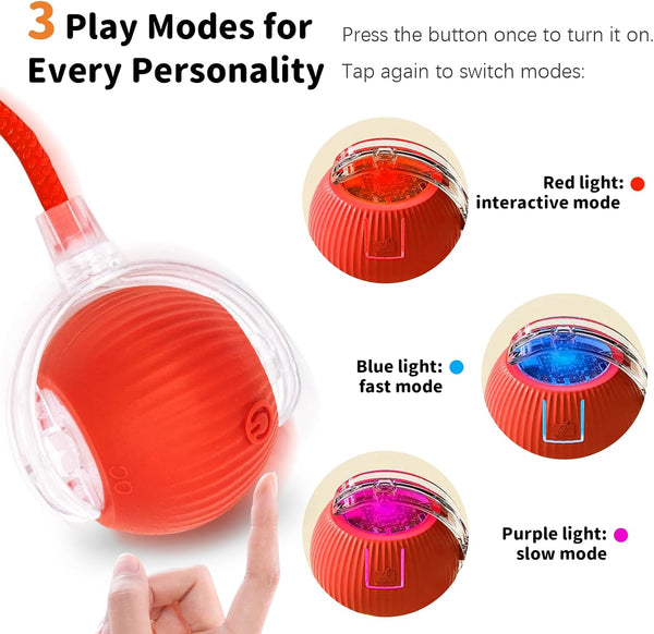 Interactive Cat Ball