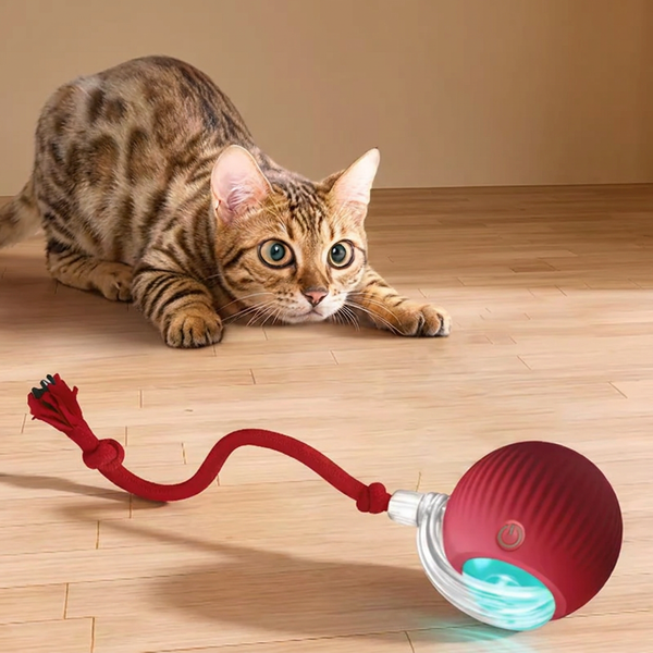 Interactive Cat Ball