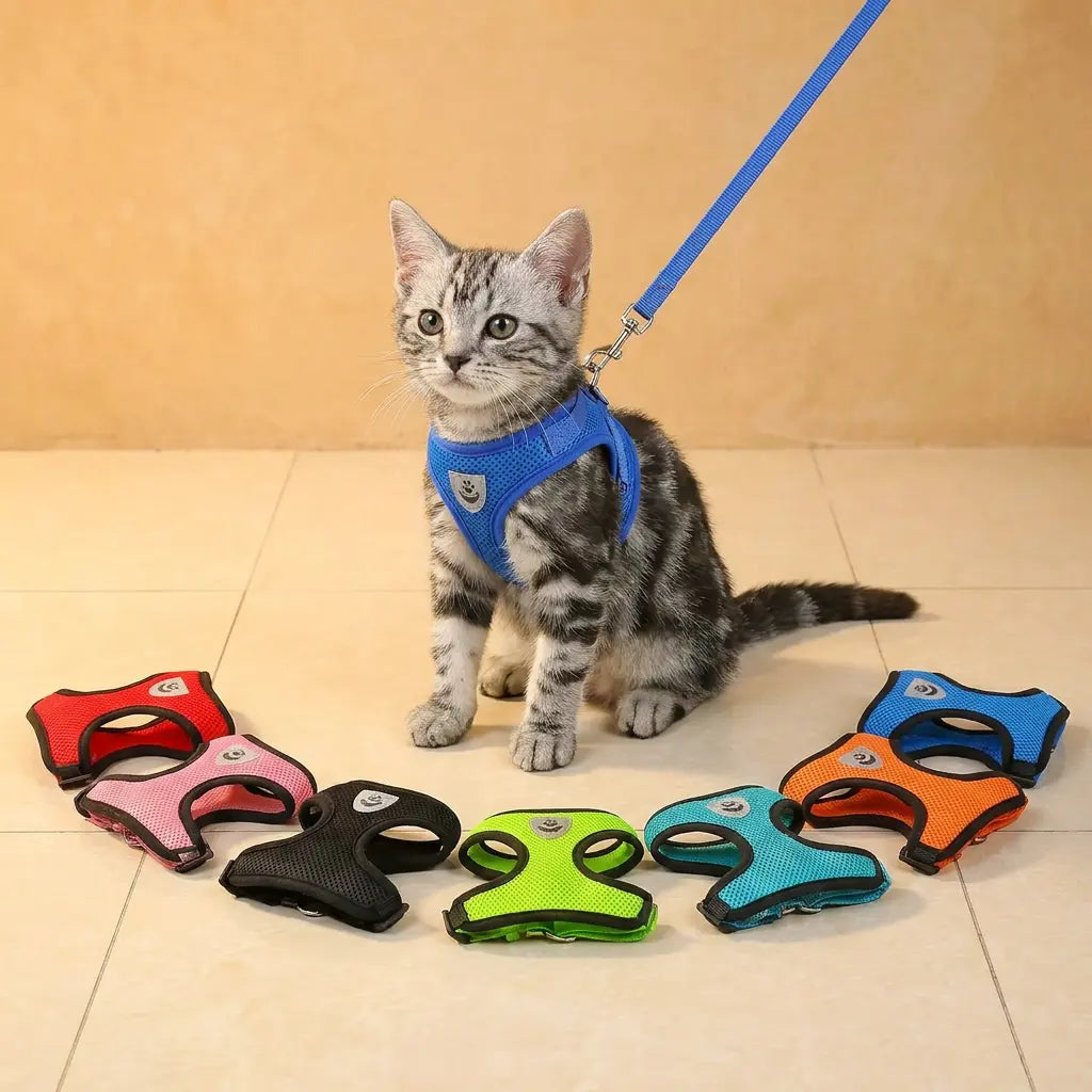 Outdoor Ready Harness PAWZA