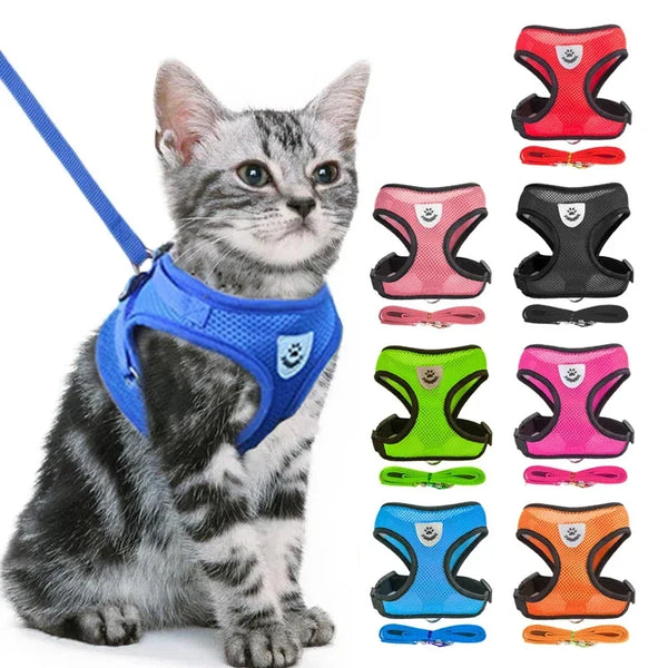 Outdoor Ready Cat Harness Vest