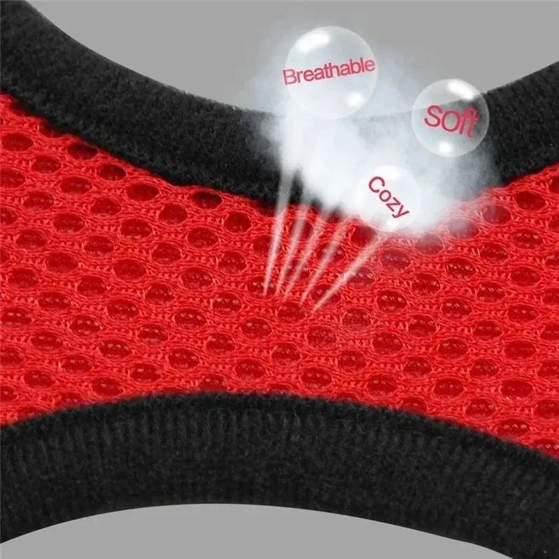 Outdoor Ready Harness PAWZA