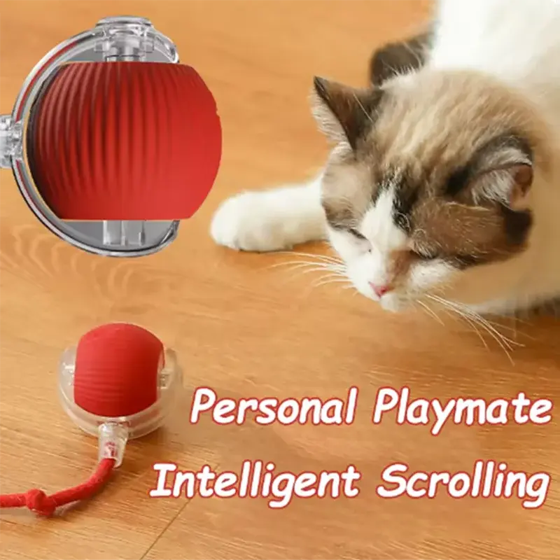 Interactive Cat Ball PAWZA