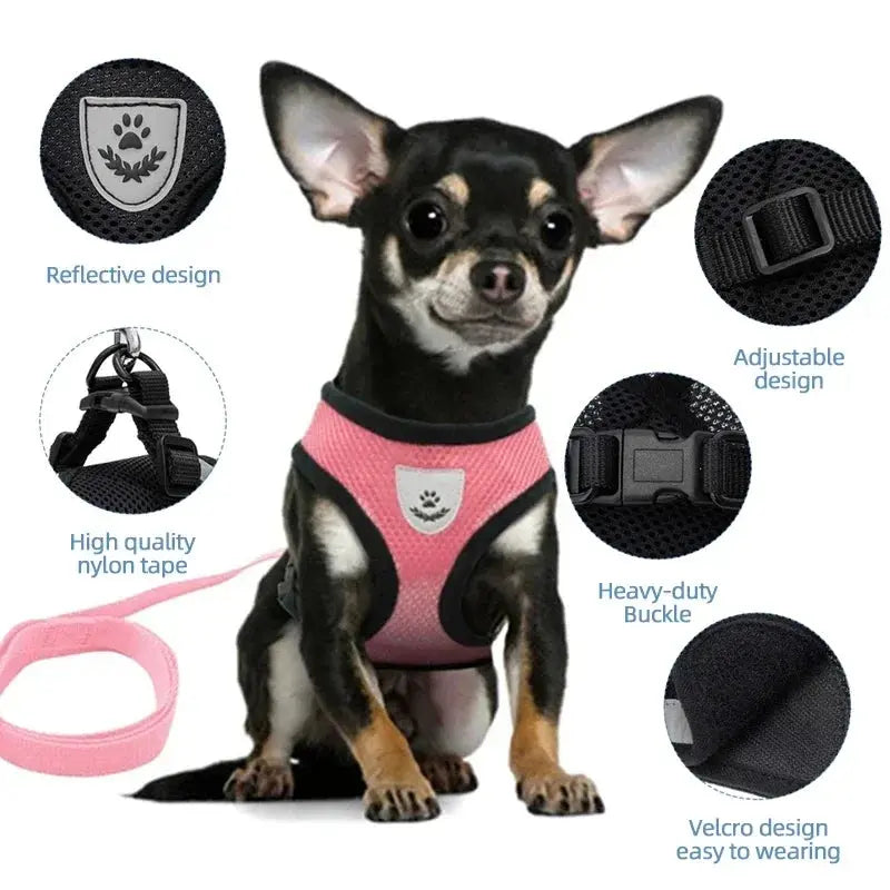 Outdoor Ready Harness PAWZA