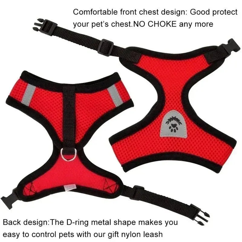 Outdoor Ready Harness PAWZA